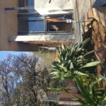 House Niemandt 4